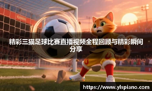 安信12娱乐