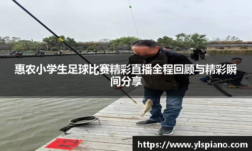 惠农小学生足球比赛精彩直播全程回顾与精彩瞬间分享