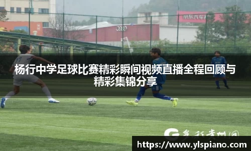 安信12娱乐